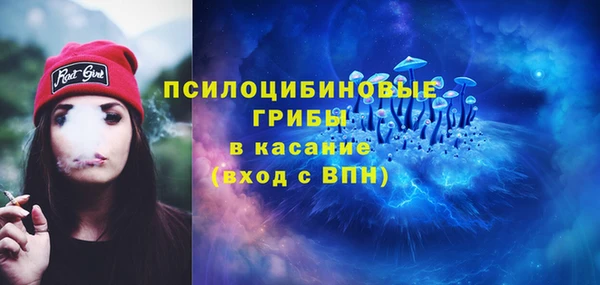 МДПВ Алексеевка