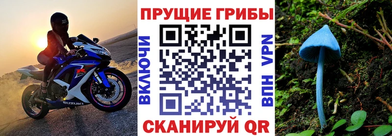 Псилоцибиновые грибы ЛСД  Кондопога 
